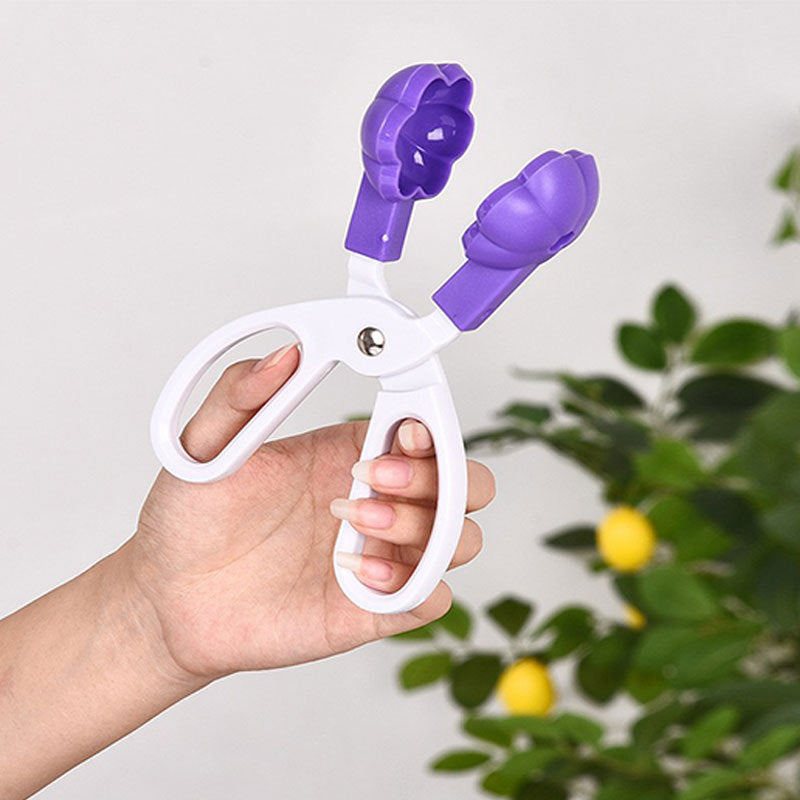 Cute Shape Mold Set( 5 Pieces Set )