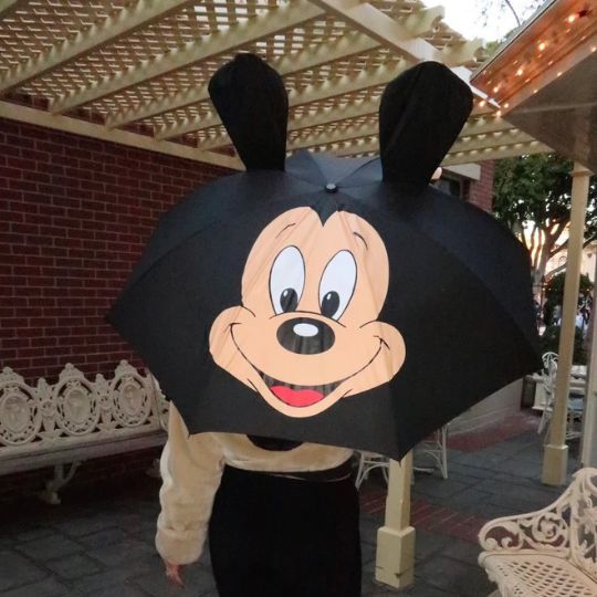 Mickey Umbrella