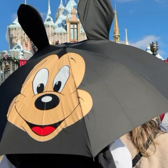 Mickey Umbrella