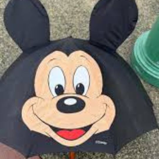 Mickey Umbrella