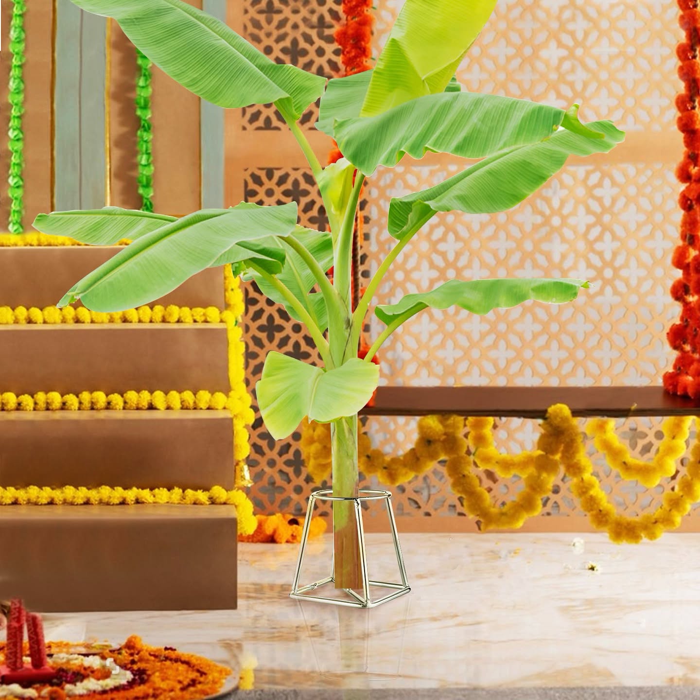 Banana Plant Stand (Pack of 2)