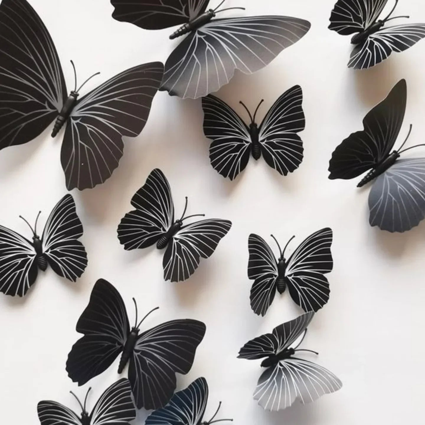 3D Magnetic Butterfly
