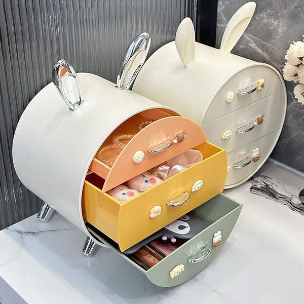 Desktop Storage Rack