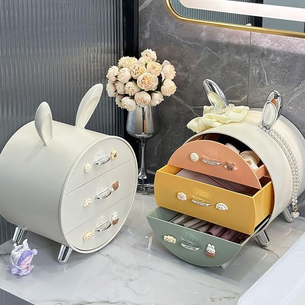 Desktop Storage Rack
