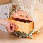 Desktop Storage Rack