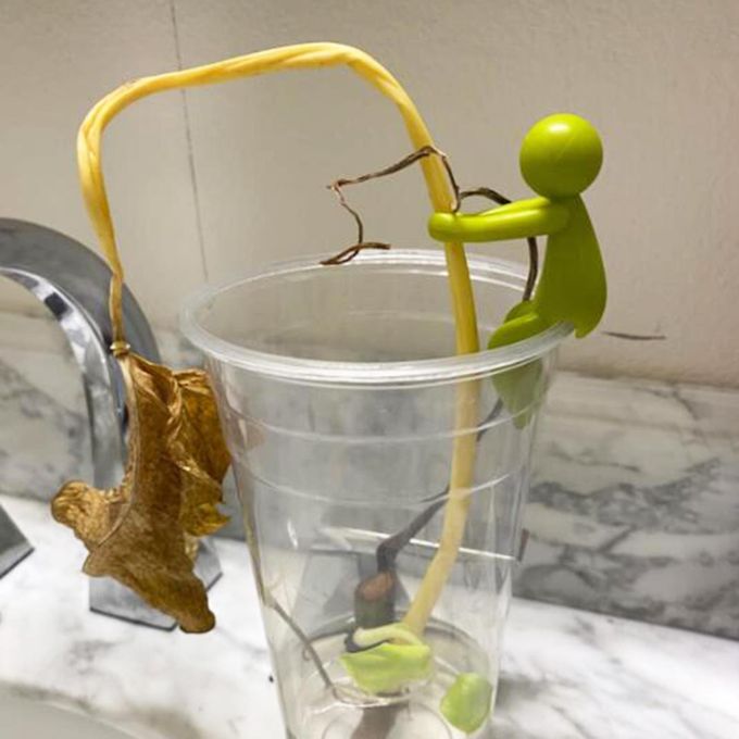 Plant Buddy