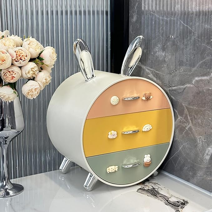 Desktop Storage Rack