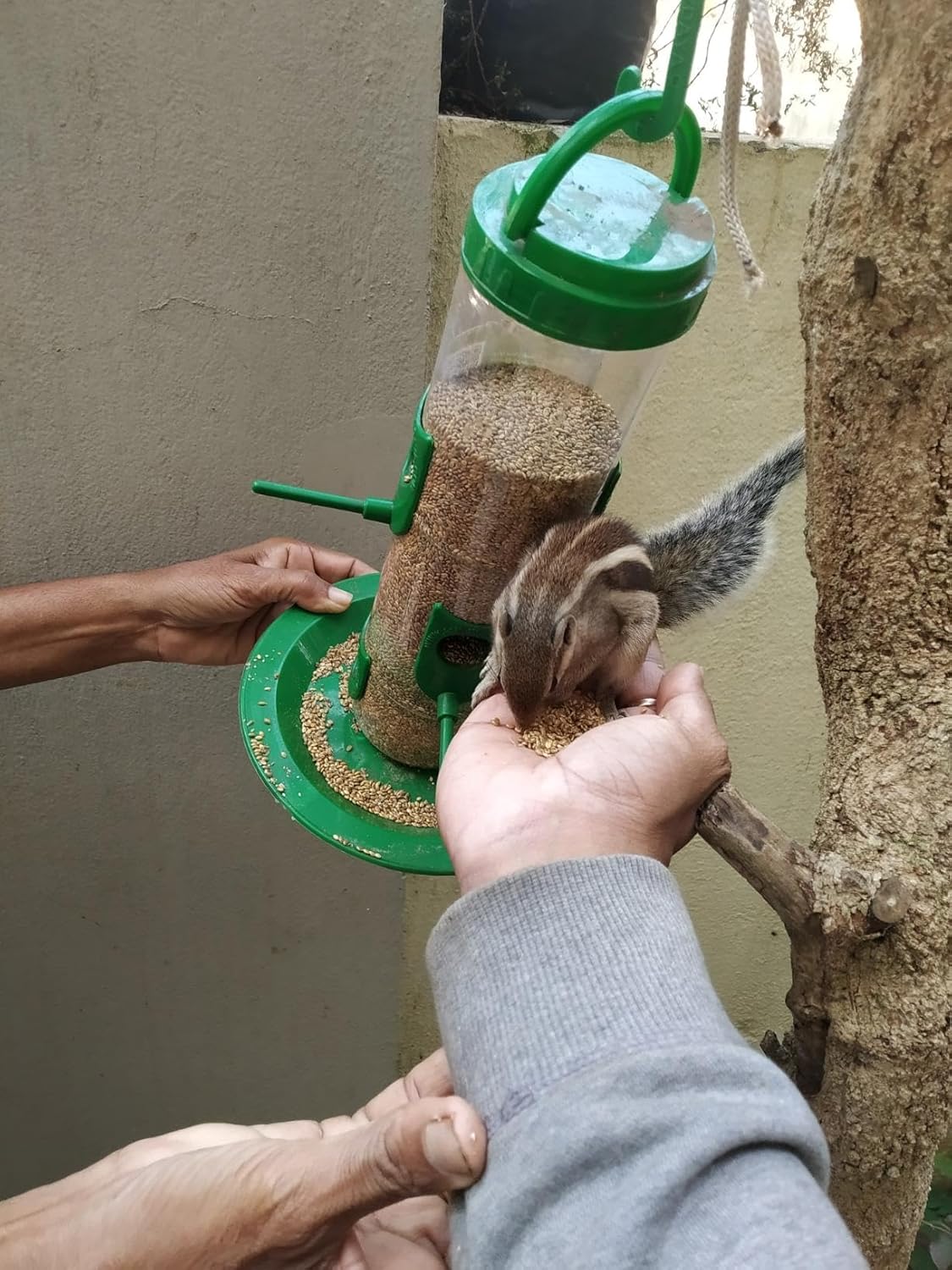 Premium Hanging Bird Feeder – Transparent Outdoor Seed Dispenser for Garden & Balcony