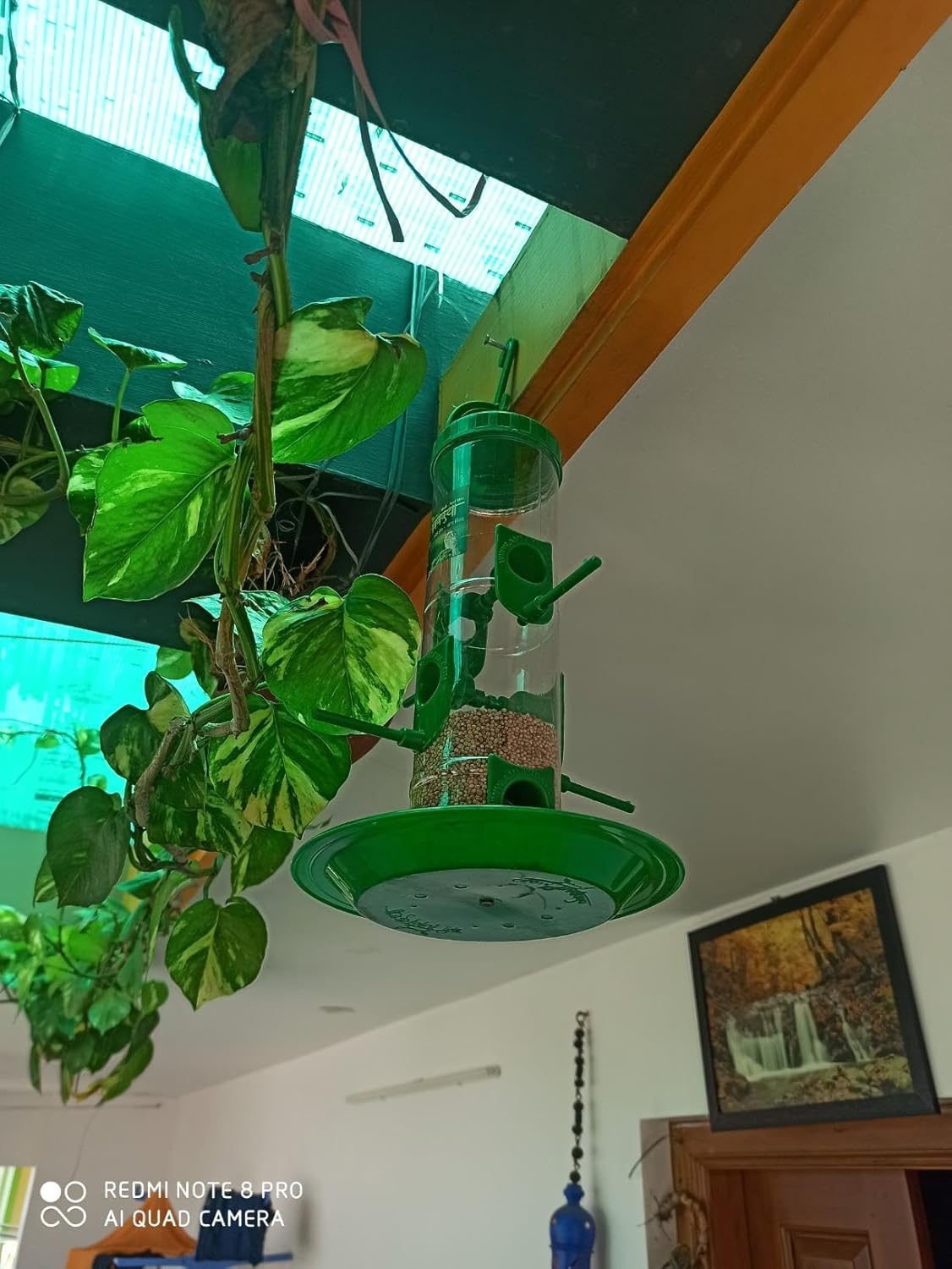 Premium Hanging Bird Feeder – Transparent Outdoor Seed Dispenser for Garden & Balcony