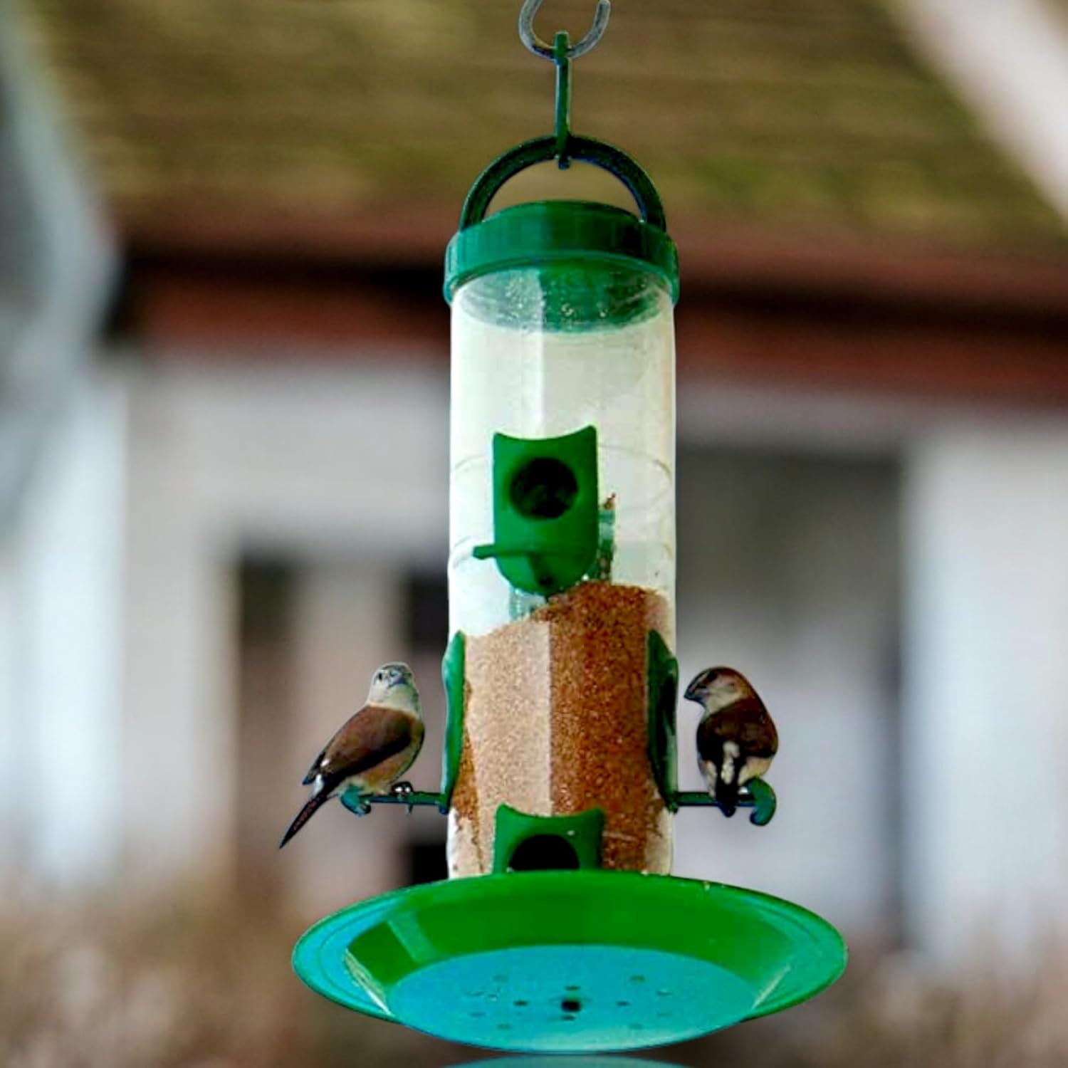 Premium Hanging Bird Feeder – Transparent Outdoor Seed Dispenser for Garden & Balcony