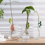 Plant Buddy