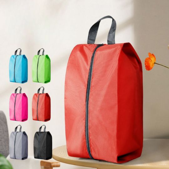 Shoe Storage Case
