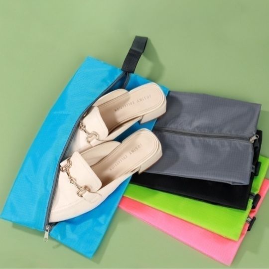 Shoe Storage Case