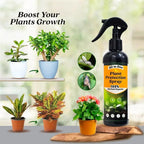 All-in-One Plant Protection Spray – Buy 1 Get 1 Free (100ml Each)