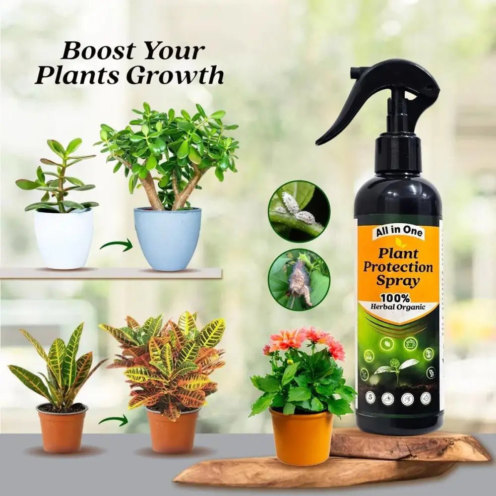 All-in-One Plant Protection Spray – Buy 1 Get 1 Free (100ml Each)