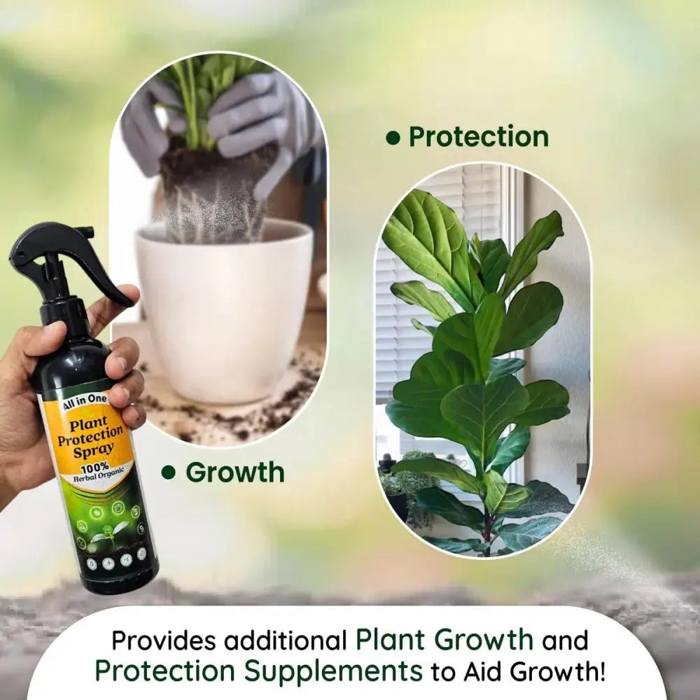 All-in-One Plant Protection Spray – Buy 1 Get 1 Free (100ml Each)
