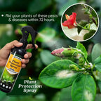 All-in-One Plant Protection Spray – Buy 1 Get 1 Free (100ml Each)