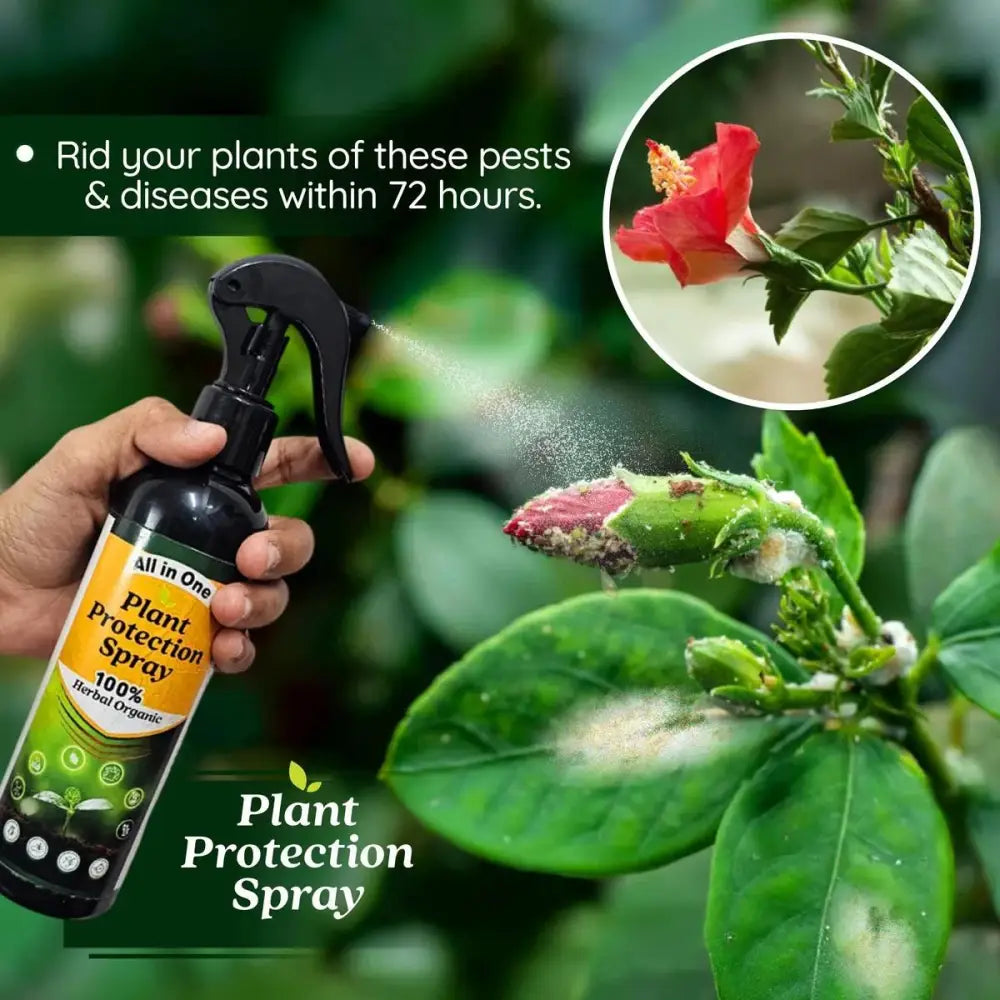 All-in-One Plant Protection Spray – Buy 1 Get 1 Free (100ml Each)