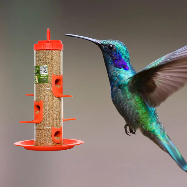 The Better Bird Feeder – Attract Wild Birds to Your Garden