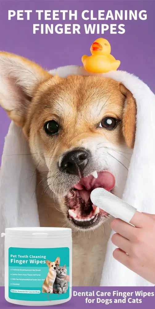 Disposable Dental Finger Wipes for Pets – Teeth Cleaning Wipes for Dogs & Cats (Pack of 50)