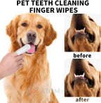 Disposable Dental Finger Wipes for Pets – Teeth Cleaning Wipes for Dogs & Cats (Pack of 50)