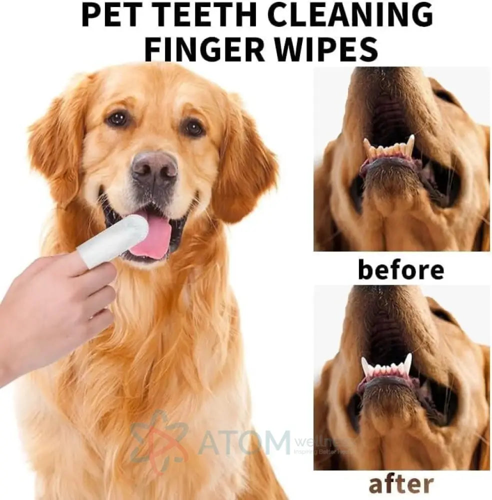 Disposable Dental Finger Wipes for Pets – Teeth Cleaning Wipes for Dogs & Cats (Pack of 50)