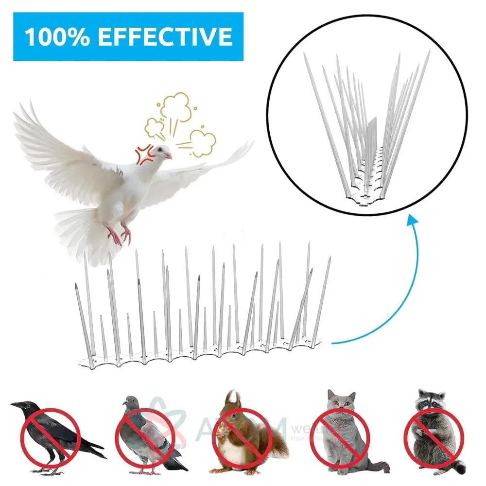 Effective & Humane Pigeon Control Spikes | Stainless Steel Bird Deterrent for Balcony & Terrace (Set of 10)