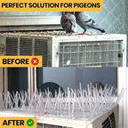 Effective & Humane Pigeon Control Spikes | Stainless Steel Bird Deterrent for Balcony & Terrace (Set of 10)