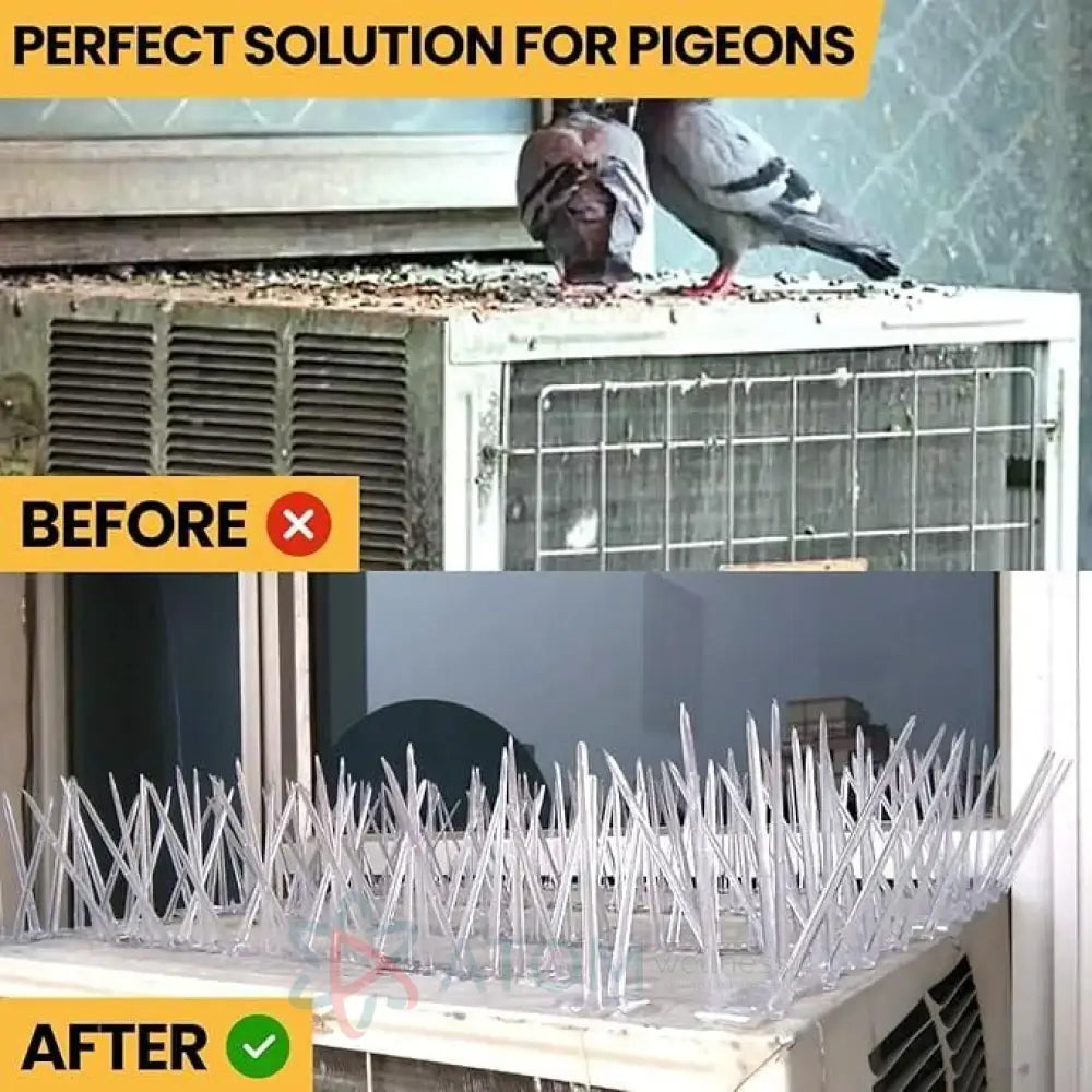 Effective & Humane Pigeon Control Spikes | Stainless Steel Bird Deterrent for Balcony & Terrace (Set of 10)