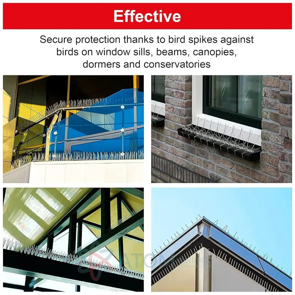 Effective & Humane Pigeon Control Spikes | Stainless Steel Bird Deterrent for Balcony & Terrace (Set of 10)
