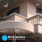 Effective & Humane Pigeon Control Spikes | Stainless Steel Bird Deterrent for Balcony & Terrace (Set of 10)