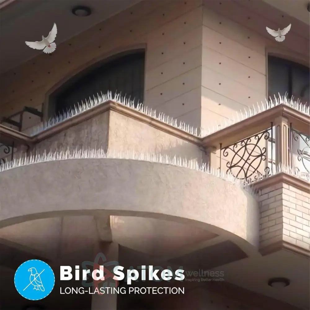 Effective & Humane Pigeon Control Spikes | Stainless Steel Bird Deterrent for Balcony & Terrace (Set of 10)