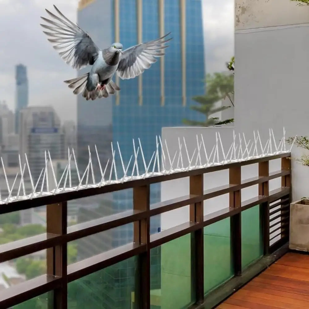 Effective & Humane Pigeon Control Spikes | Stainless Steel Bird Deterrent for Balcony & Terrace (Set of 10)