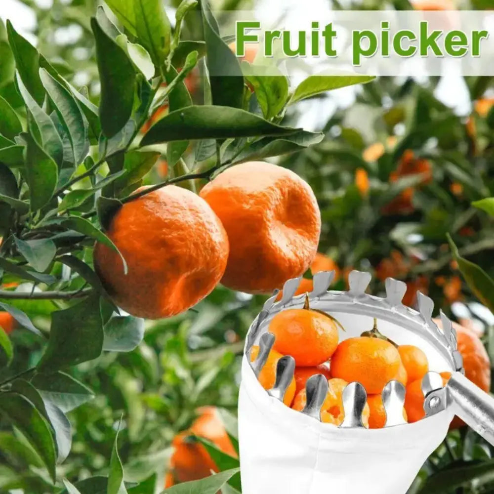 Fruit Picker Fruit Mango Orange Steel Picking Tool With Storage Bag