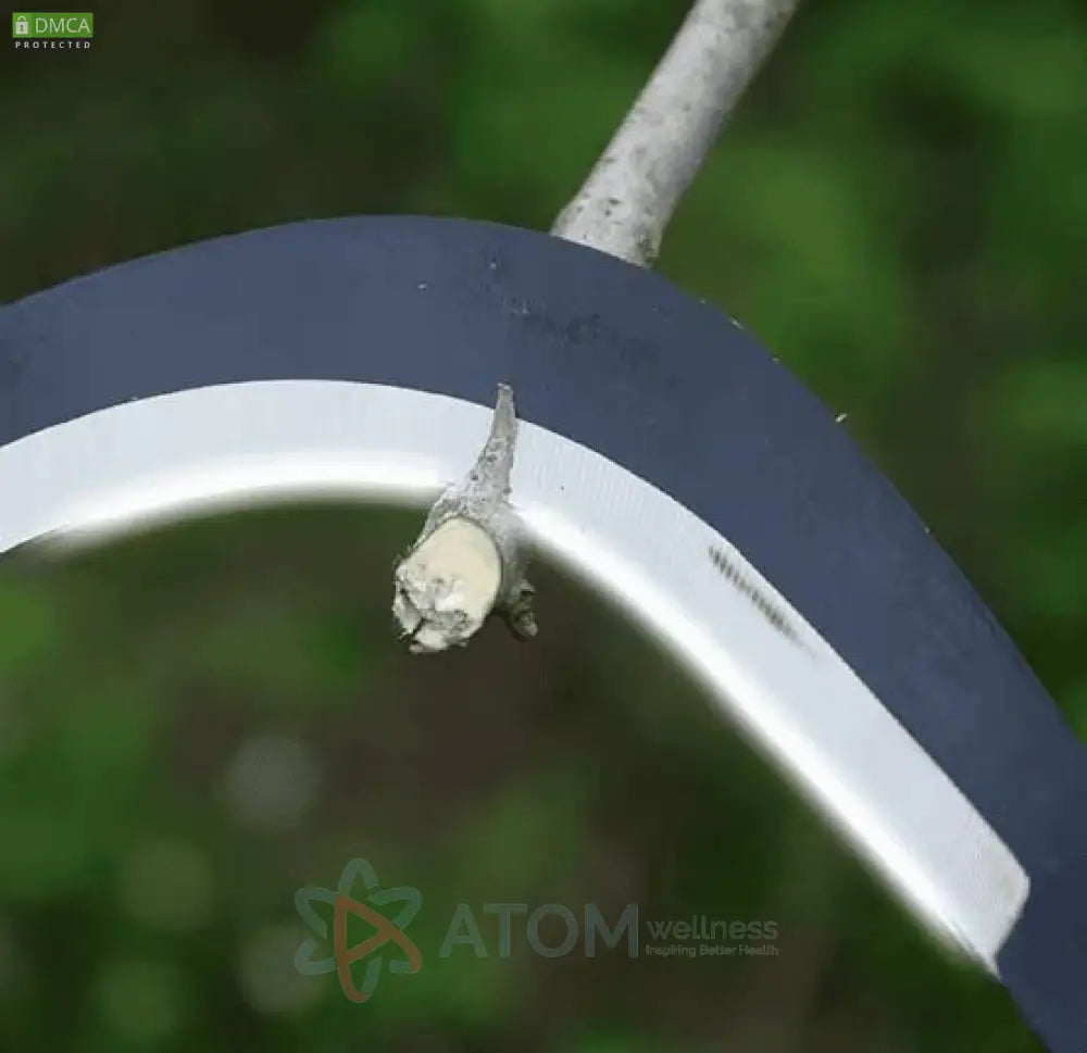 Grass Sickle Cutter (Blade Only) – Multifunctional Garden Scythe for Weeding & Cutting