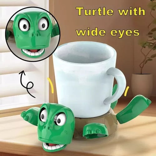 Turtle Coaster