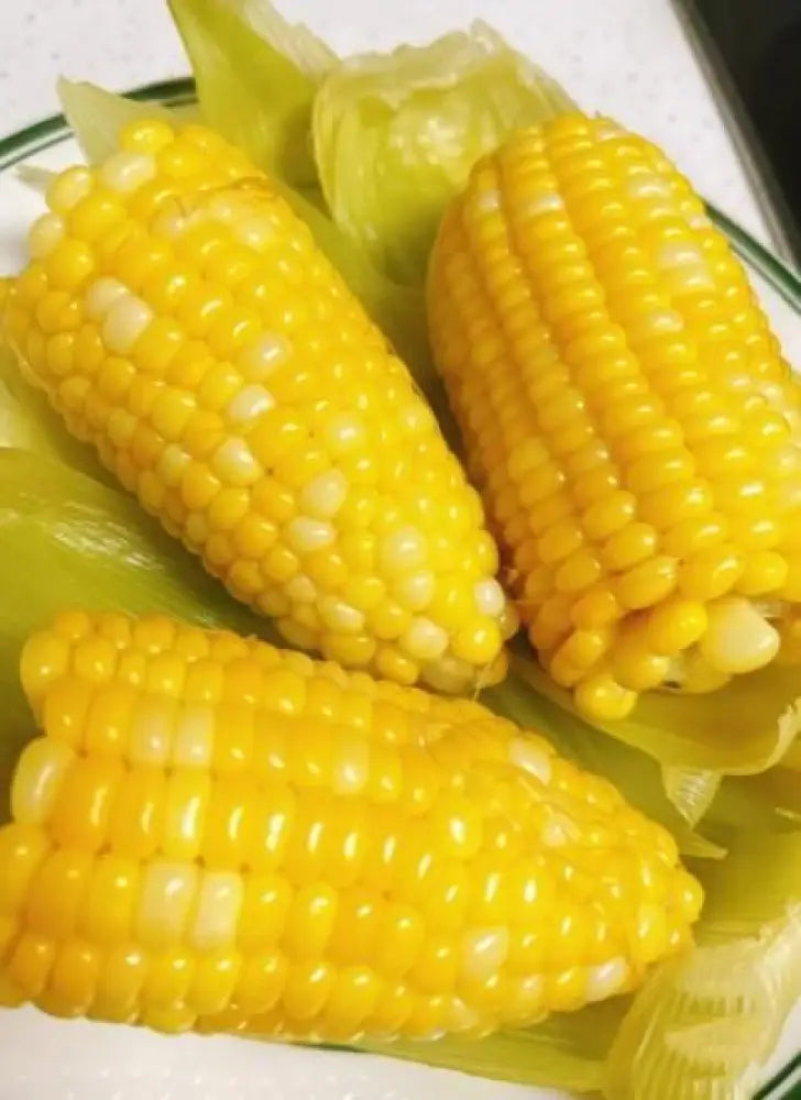 Japanese Milk Corn Seeds | Gourmet Sweet Corn for Home Gardening | Grow Your Own Fresh, Milky White Corn