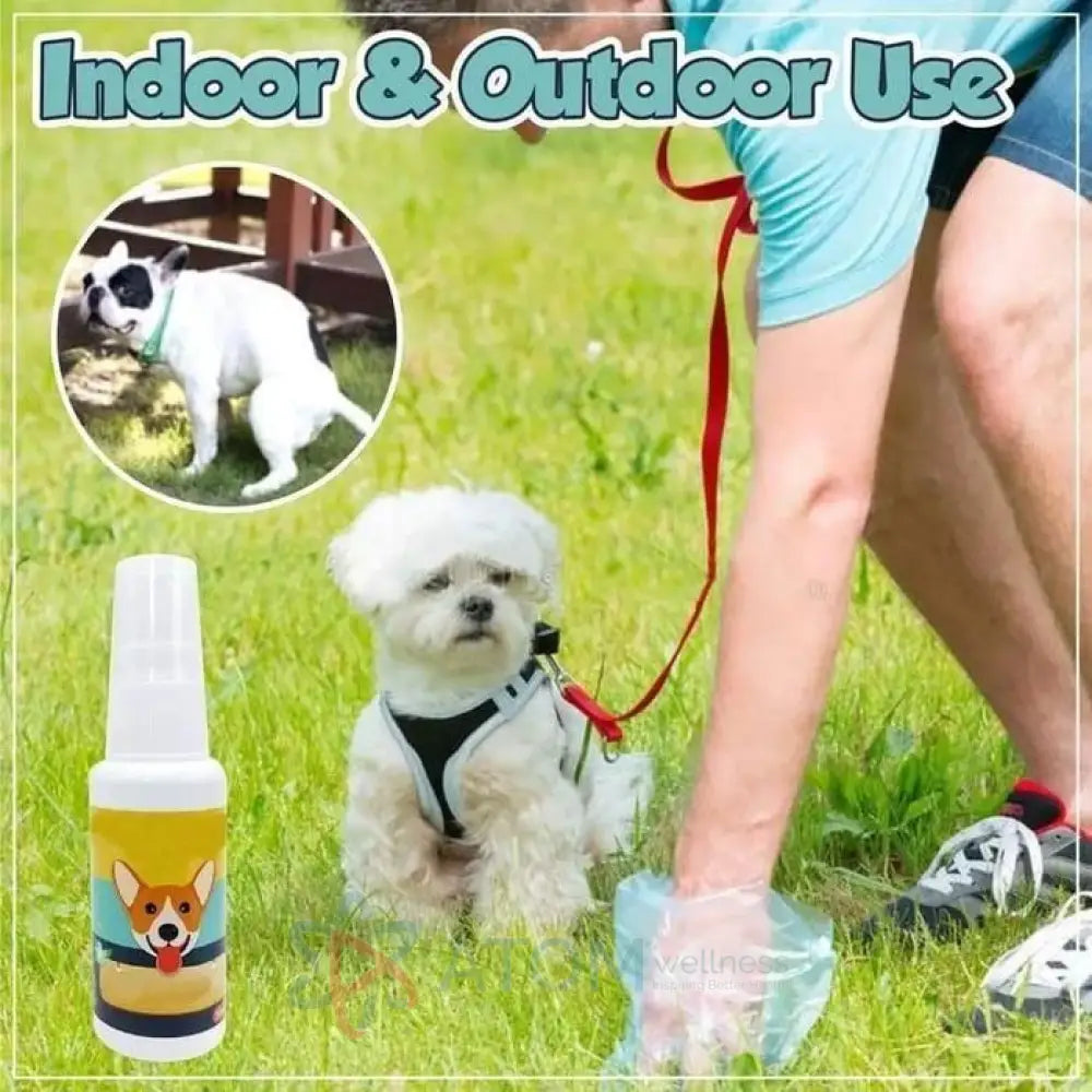 Natural Potty Training Spray for Dog & Cat 30ml (Pack of 2)