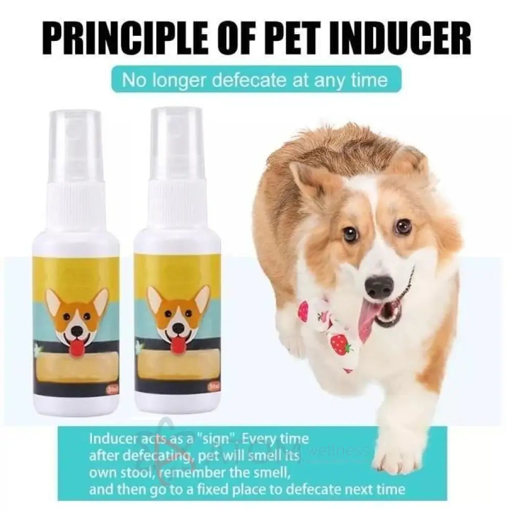 Natural Potty Training Spray for Dog & Cat 30ml (Pack of 2)