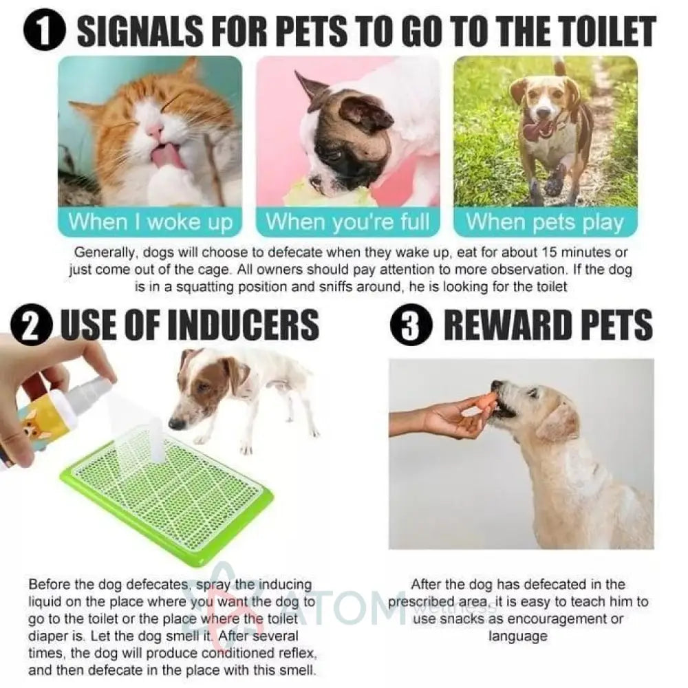 Natural Potty Training Spray for Dog & Cat 30ml (Pack of 2)