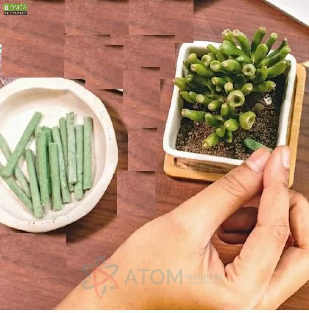 Plant Grow Fertilizer Sticks For Plants – 25 Sticks (Pack of 2)