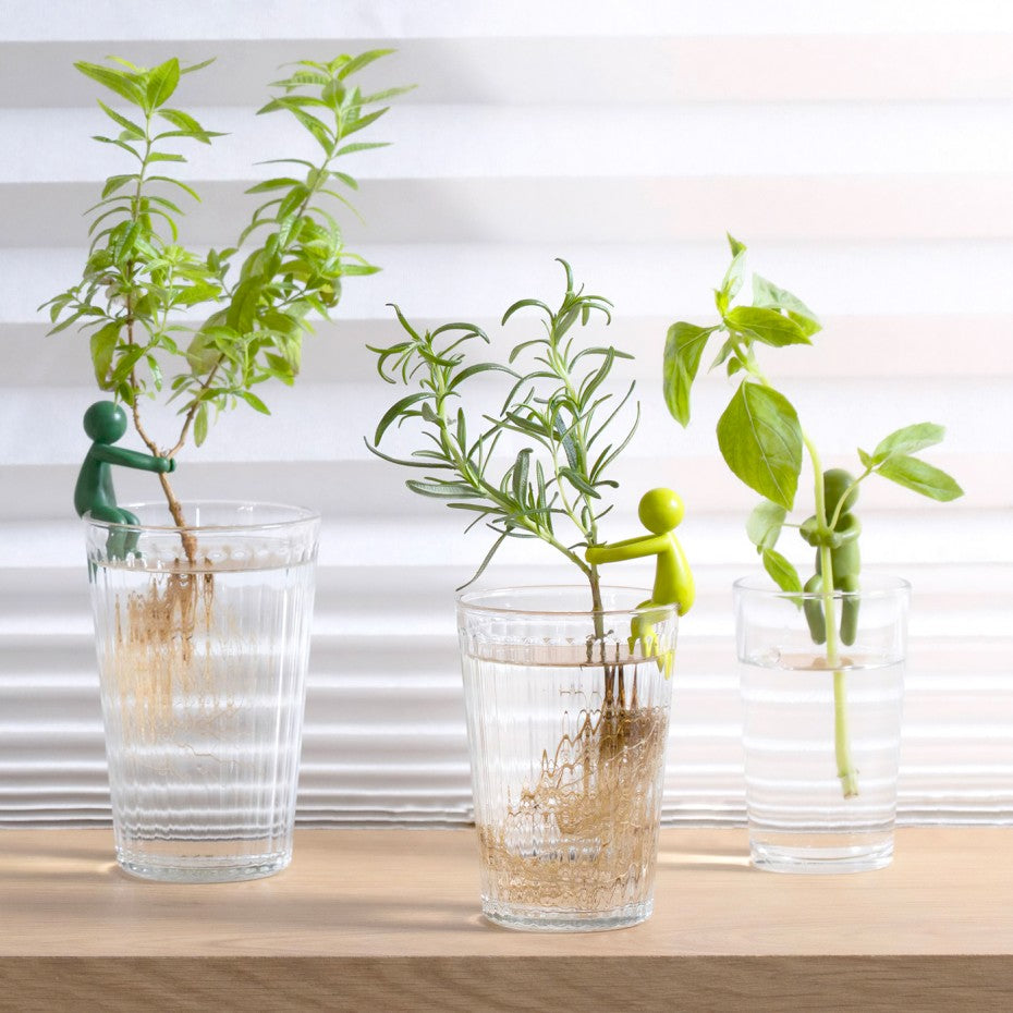 Plant Buddy