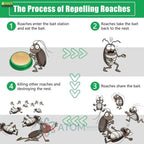 Rapid Cockroach Killer Repellent Gel Long Acting Formula