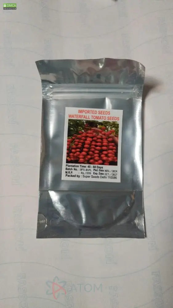 Waterfall Tomato Seeds - High-Yielding Cherry Tomato Variety (300g Pack)